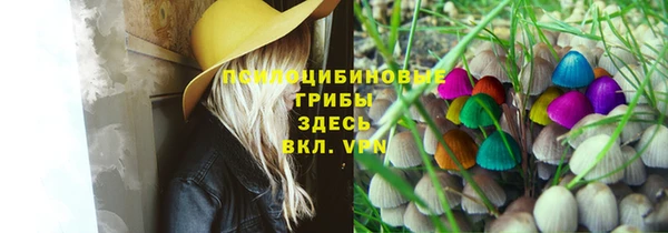 стафф Арсеньев