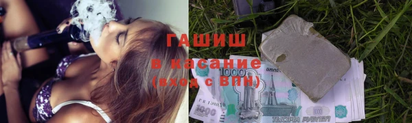 стафф Арсеньев