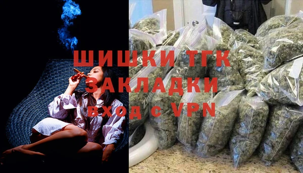 стафф Арсеньев