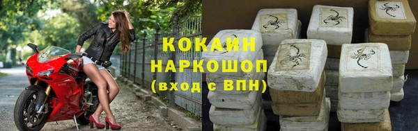 стафф Арсеньев